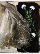 - Flores - (c) 2007 REMACHA