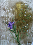 (c) 2012 REMACHA