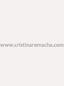 (c) 2013 REMACHA