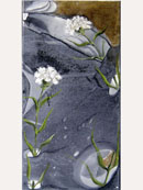 - Flores - (c) 2007 REMACHA