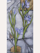 - Flores - (c) 2007 REMACHA
