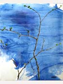 - Brote - (c) 2008 REMACHA